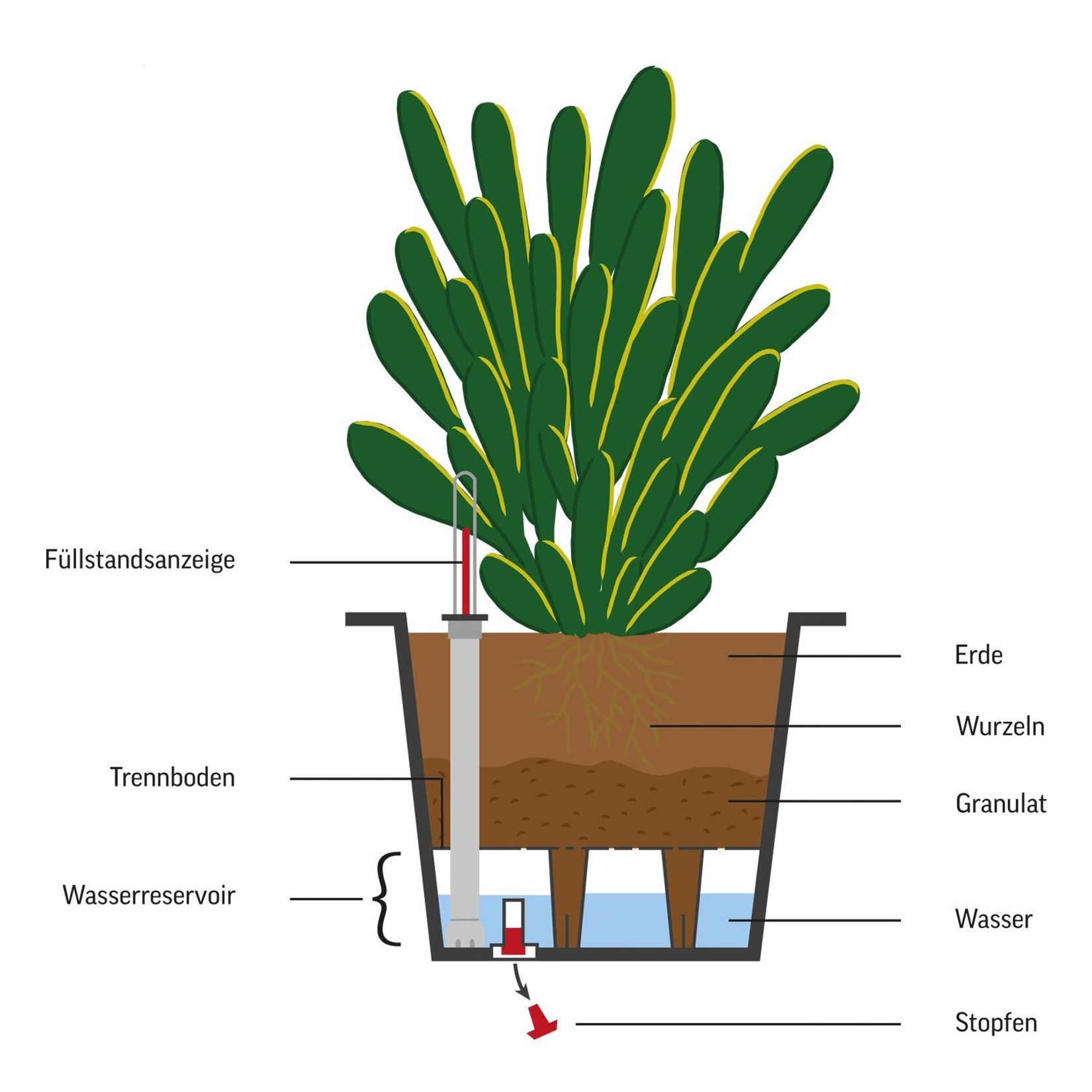Aufbau eines Blumenkübeleinsatzes Skizze