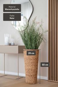 Pflanzkübel Blumenkübel Wasserhyazinthe "Classic Round", Natur