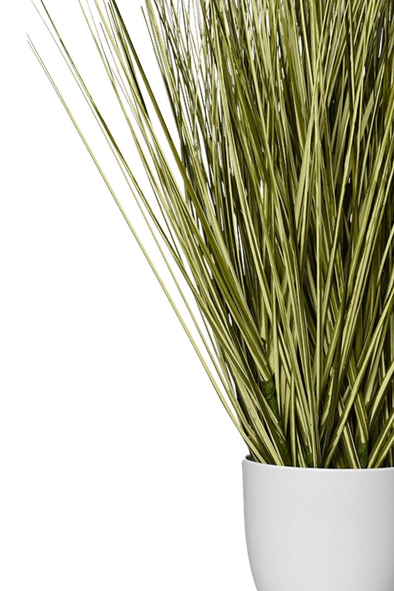 Kunstpflanze Kunststoff Zebragras JUNCO | 1110700