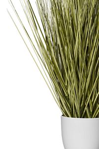 Kunstpflanze Kunststoff Zebragras JUNCO