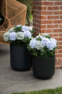 Blumentopf Pflanztopf Fiberglas CHICO Anthrazit Blumentopf Pflanztopf Fiberglas CHICO Anthrazit