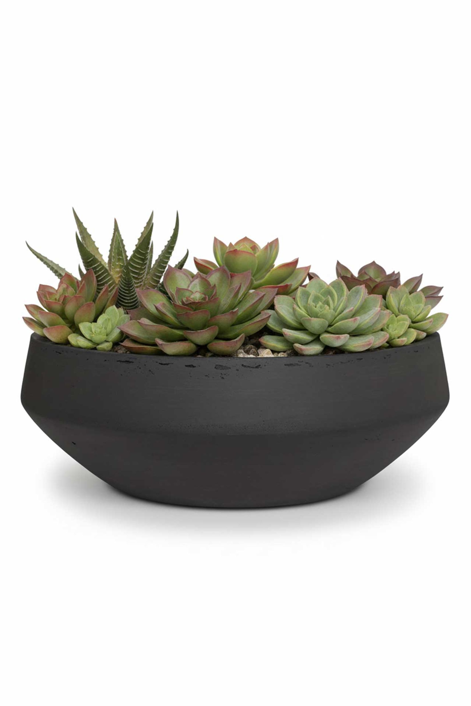 Pflanzschale Dekoschale Fiberglas SKRELLE Vulkangrau Pflanzschale Dekoschale Fiberglas SKRELLE Vulkangrau