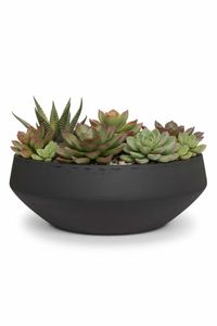 Pflanzschale Dekoschale Fiberglas SKRELLE Vulkangrau Pflanzschale Dekoschale Fiberglas SKRELLE Vulkangrau