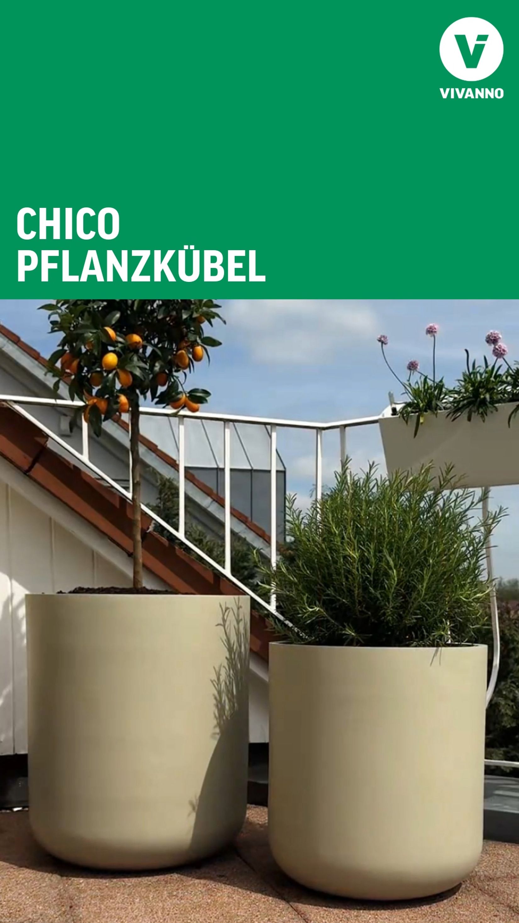 Chico Pflanztopf Thumbnail Video