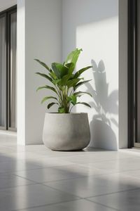 Pflanztopf Blumentopf Fiberglas GIRAR Vesuvgrau