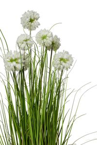 Kunstpflanze Gras mit Blüten im Topf TARA