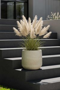 Pflanzkübel Blumentopf Fiberzement SASSO Dünenbeige