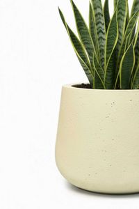 Blumentopf Pflanztopf Fiberglas GIRAR Vesuvcreme