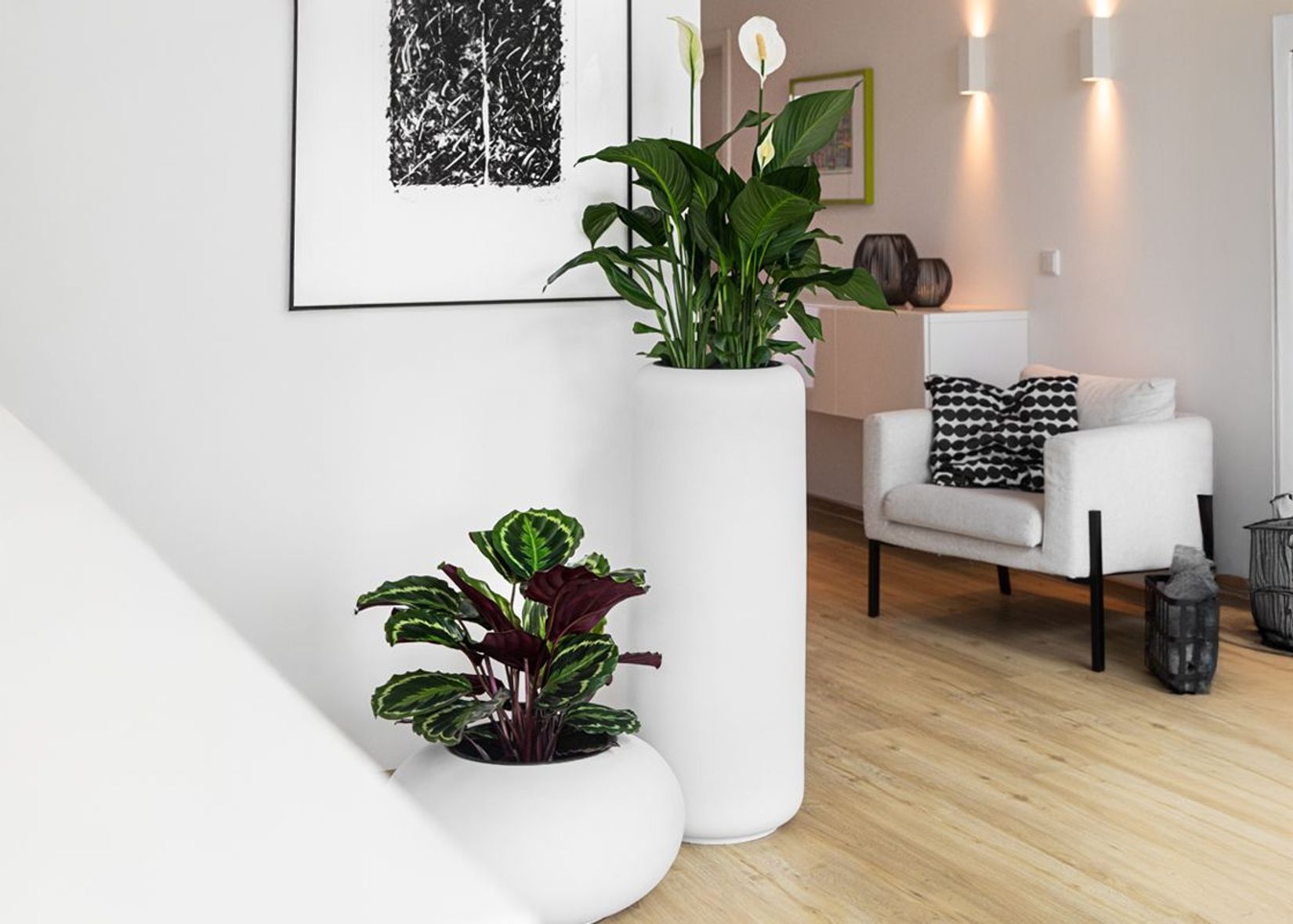 Pflanzkübel rund weiß im Wohnbereich Pflanzkübel rund weiß im Wohnbereich