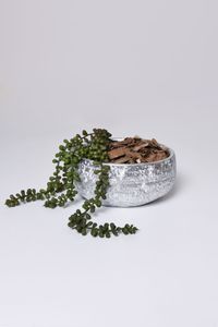Dekoschale Pflanzschale aus Zement KASKARA Silber