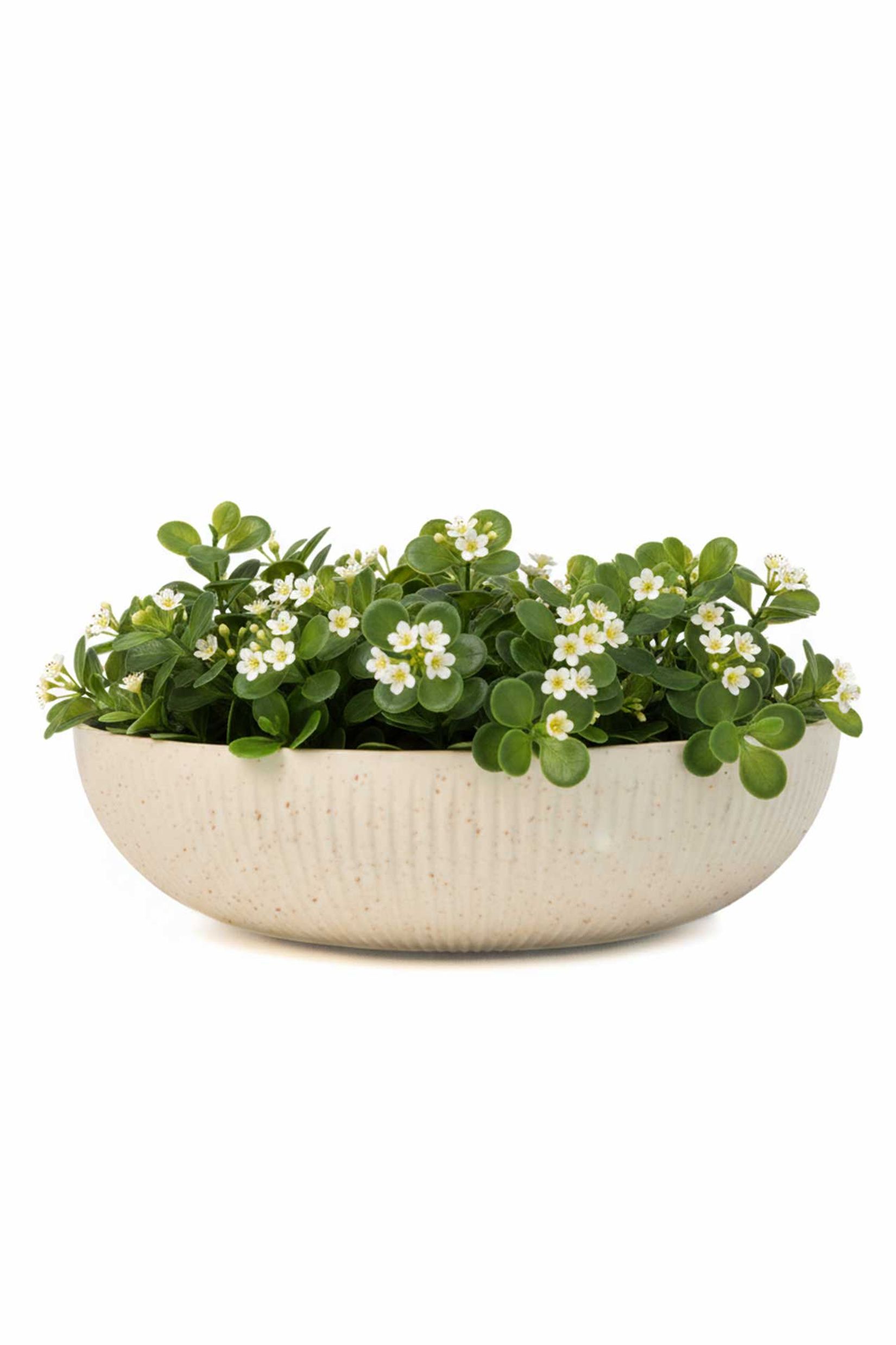 Pflanzschale Blumenschale Fiberglas PLANA Arbanerelief Pflanzschale Blumenschale Fiberglas PLANA Arbanerelief