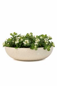 Pflanzschale Blumenschale Fiberglas PLANA Arbanerelief Pflanzschale Blumenschale Fiberglas PLANA Arbanerelief