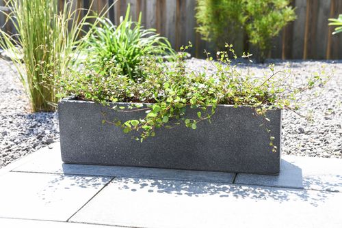 Blumenkasten Beton Flobo Kasten matt Anthrazit VIVANNO
