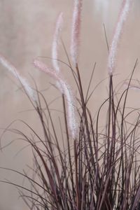 Kunstpflanze Kunstgras im Topf RUBA